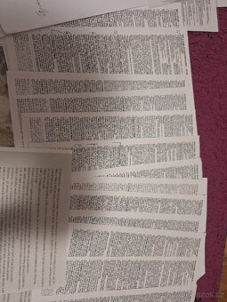 Vypracovaná maturitní četba buď pdf verze nebo papir - 2