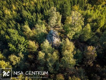 Prodej lesa 30 343 m² v Šimonovicích - 2