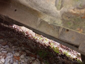 Terrano 2,7 TD automat - 2