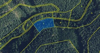 Prodej lesa, 5 021 m², Proseč - 2