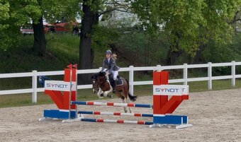 Pony pro dítě - 2