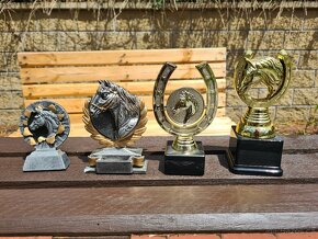 Sportovní poháry, trofeje - Koně (koňské, kůň) - 2