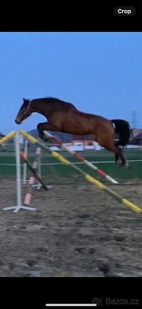 Valach CS do sportu - 2