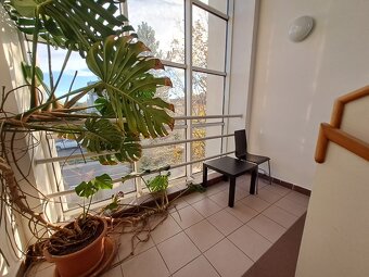 80 m2 KANCELÁŘÍ - Brno - Vídeňská/Bohunická - 2