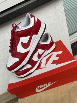 Nike Dunk Low Next Nature - 2