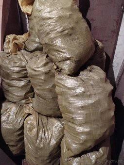 Uhlí a uhelné brikety Rekord - 2