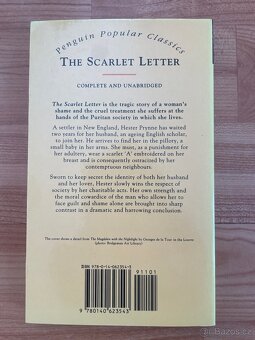 The Scatlet Letter - Nathaniel Hawthorne - 2