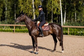 SADA Equestrian Stockholm Mahogany Glimmer VS a PVS - 2
