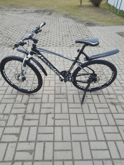 Leader fox - 2