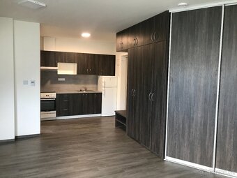 Byt k pronájmu 1+kk (32,9 m2) - 2