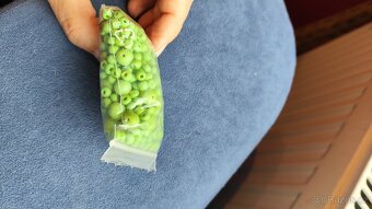 Zelené skleněné korálky - 2