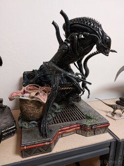Alien Warrior Prime 1 Studio - 2