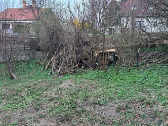 Zdarma daruji větve na podpal/ seštěpkování Senohraby - 2