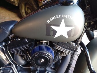 Harley Davidson Heritage Softail - 2