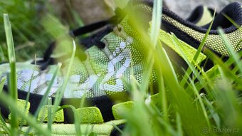 Inov-8 X-TALON 212 classic kids (37) - 2