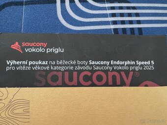 Běžecké boty Saucony Endorphin Speed 5 - 2