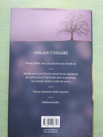 Sofia Lundbergová, Jiné životy - 2