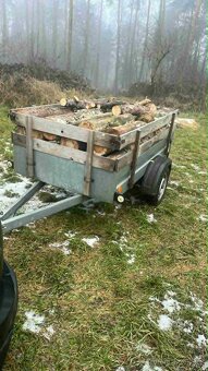 Palivové dřevo na prodej - 2