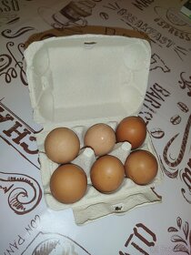 Domácí vejce, vajíčka - 2