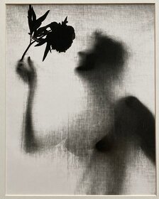 Eva Fuková – Dívka s květinou (1957) - 2