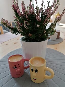 Ubytování v Harrachově - 2