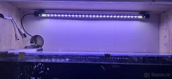 🐠 Prodám 2 kompletně zařízená akvária s rybičkami – 40 l 🐠 - 2