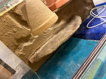 Terarium 80x40x40 - 2