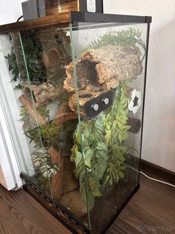 Terárium + pagekon - 2