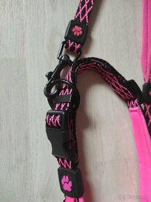 Voditko s obojek ACTIV DOG vel. M - 2