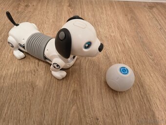Robotický pes - 2