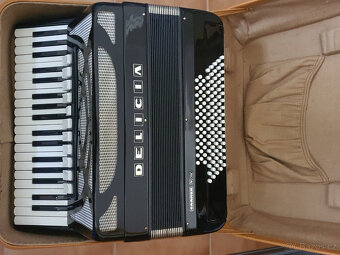 Delicia CARMEN VIII - 2