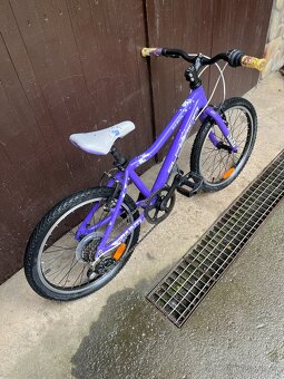 Lehké dětské kolo Superior Paint 20" - 2