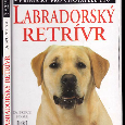 Labradorský retrívr, Yorkšírský teriér, Anglický kokršpaněl - 2