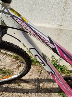 Divči kolo 24 - 2