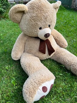 Velký plyšový medvěd 160cm - 2
