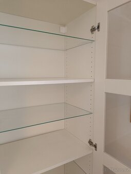 Prosklená knihovna - vitrína - 2