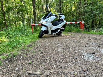 Honda PCX 125 2025 - 2