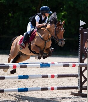 Sportovní pony - 2
