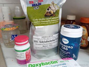 Výživy pro psa s antibiotiky na predpis - 2
