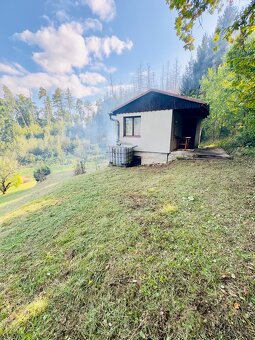 Prodej chaty, Vysoké Mýto, Spálenec, 18 m2 - 2