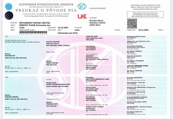 Seltie , Šeltia - 2