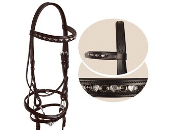 Anglicka uzdecka - 2