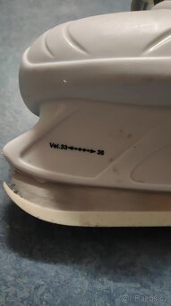 Brusle lední a kolečkové - 2