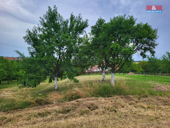 Prodej zahrady, 600 m², Vlčnov - 2