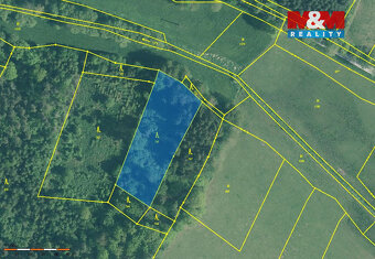 Prodej lesa, 3555 m², Kváskovice - 2