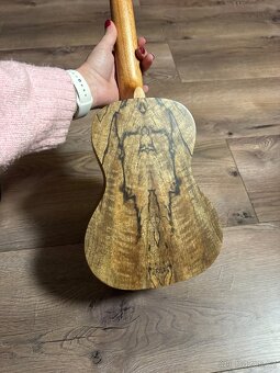 Ukulele Ashton UKE500 CMA - 2