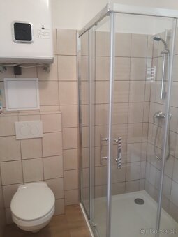 Pronájem bytu 1+1, 28m2, Sedlčany - 2
