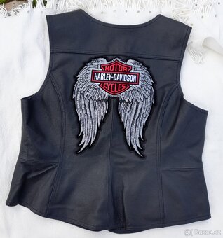 HARLEY DAVIDSON® Vesta XL - 2