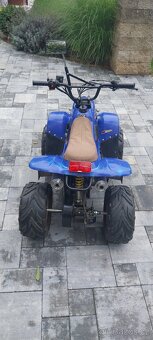 Dětská čtyřkolka 110 ccm - 2