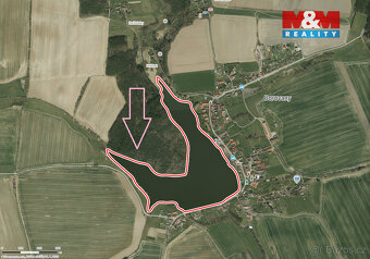 Prodej lesa, 13225 m², Borovany - 2